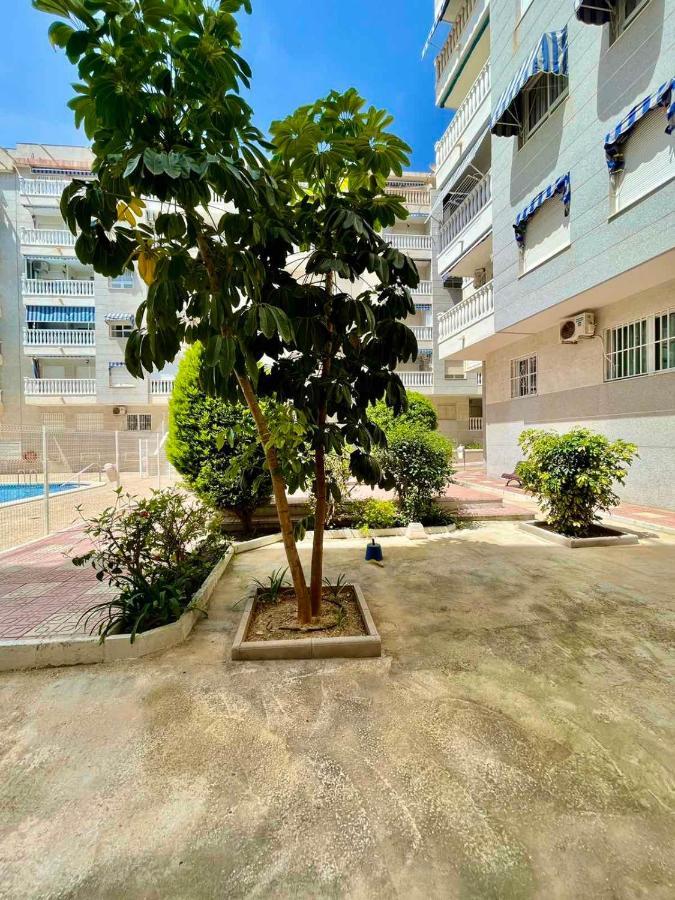 Torrevieja Comfortable Apartment Εξωτερικό φωτογραφία